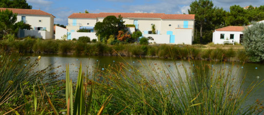 l-etang-de-saint-jean-de-monts