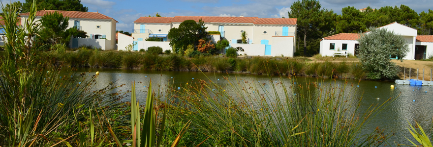 l-etang-de-saint-jean-de-monts